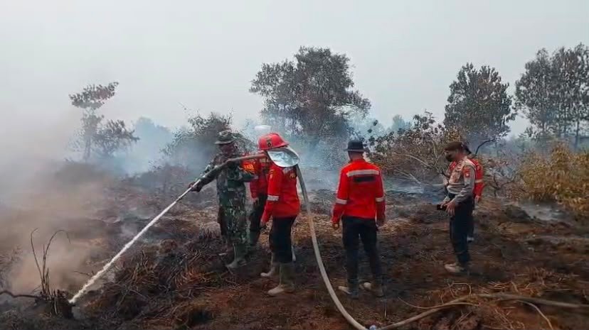 Koramil 1203-05/Laur dan Mitra Kerja Redam Karhutla di Desa Teluk Mutiara