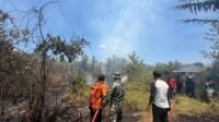 Lahan 28 Borong di Bitahan Terbakar, Dua Mobil Damkar Diterjunkan