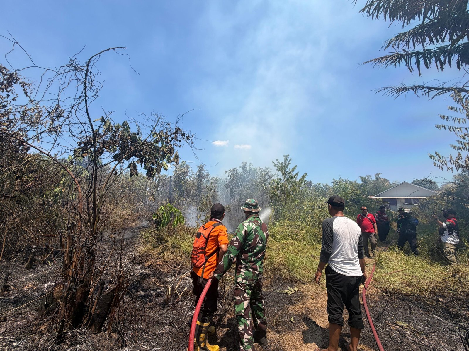 Lahan 28 Borong di Bitahan Terbakar, Dua Mobil Damkar Diterjunkan