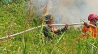Respont Cepat Gabungan Padamkan Karhutla di Singa Geweh, Tak Ada Perluasan Respont Cepat Gabungan Padamkan Karhutla di Singa Geweh, Tak Ada Perluasan