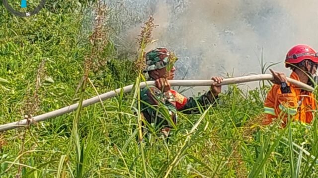 Respont Cepat Gabungan Padamkan Karhutla di Singa Geweh, Tak Ada Perluasan