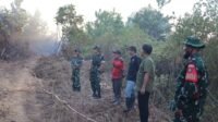 Aksi Dandim 1004/Kotabaru Padamkan Karhutla di Pulau Laut Barat