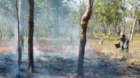 Sigap! Babinsa Koramil 1707-06/Sota Padamkan Kebakaran di Kampung Sota