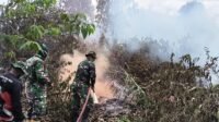 80 Persen Karhutla Bakongan Terkendali, Petugas Tetap Sisir Titik Asap 80 Persen Karhutla Bakongan Terkendali, Petugas Tetap Sisir Titik Asap