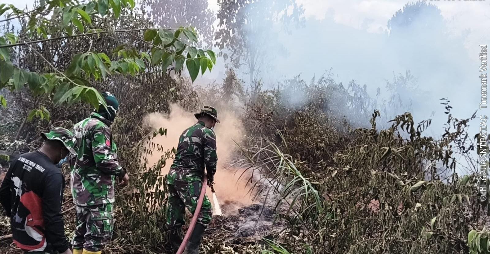 80 Persen Karhutla Bakongan Terkendali, Petugas Tetap Sisir Titik Asap