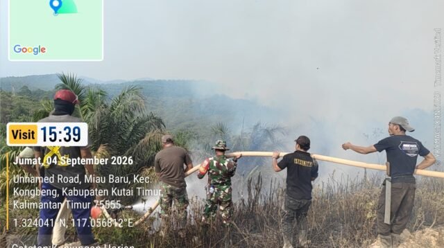 Api Lalap 50 Hektare Lahan Konservasi GSJ di Miau Baru, Tim Gabungan Turun