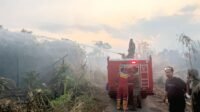 Dandim 1010/Tapin Langsung Awasi Pemadaman Karhutla di Tapin Selatan Dandim 1010/Tapin Langsung Awasi Pemadaman Karhutla di Tapin Selatan