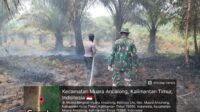 5 Hektare Lahan di Muara Ancalong Terbakar, Danramil dan MPA Turun Tangan 5 Hektare Lahan di Muara Ancalong Terbakar, Danramil dan MPA Turun Tangan