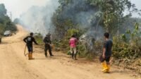 Satu Hektare Lahan di KM 27 Mugirahayu Terbakar, Dipadamkan Dalam Satu Jam Satu Hektare Lahan di KM 27 Mugirahayu Terbakar, Dipadamkan Dalam Satu Jam