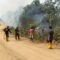 Satu Hektare Lahan di KM 27 Mugirahayu Terbakar, Dipadamkan Dalam Satu Jam