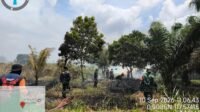 Tim Gabungan Padamkan Kebakaran Lahan di Sangatta Utara, Tidak Ada Korban Tim Gabungan Padamkan Kebakaran Lahan di Sangatta Utara, Tidak Ada Korban