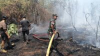 Libur Minggu, Babinsa Tetap Siaga dan Tangani Karhutla di Dua Desa Tapin Libur Minggu, Babinsa Tetap Siaga dan Tangani Karhutla di Dua Desa Tapin