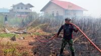 Sigap, Kodim 1707/Merauke dan Warga Padamkan Kebakaran Lahan di Ternate Sigap, Kodim 1707/Merauke dan Warga Padamkan Kebakaran Lahan di Ternate
