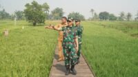 Peninjauan Titik Rawan Karhutla di Haur Gading oleh Tim Mabes TNI Didorong oleh Sinergi
