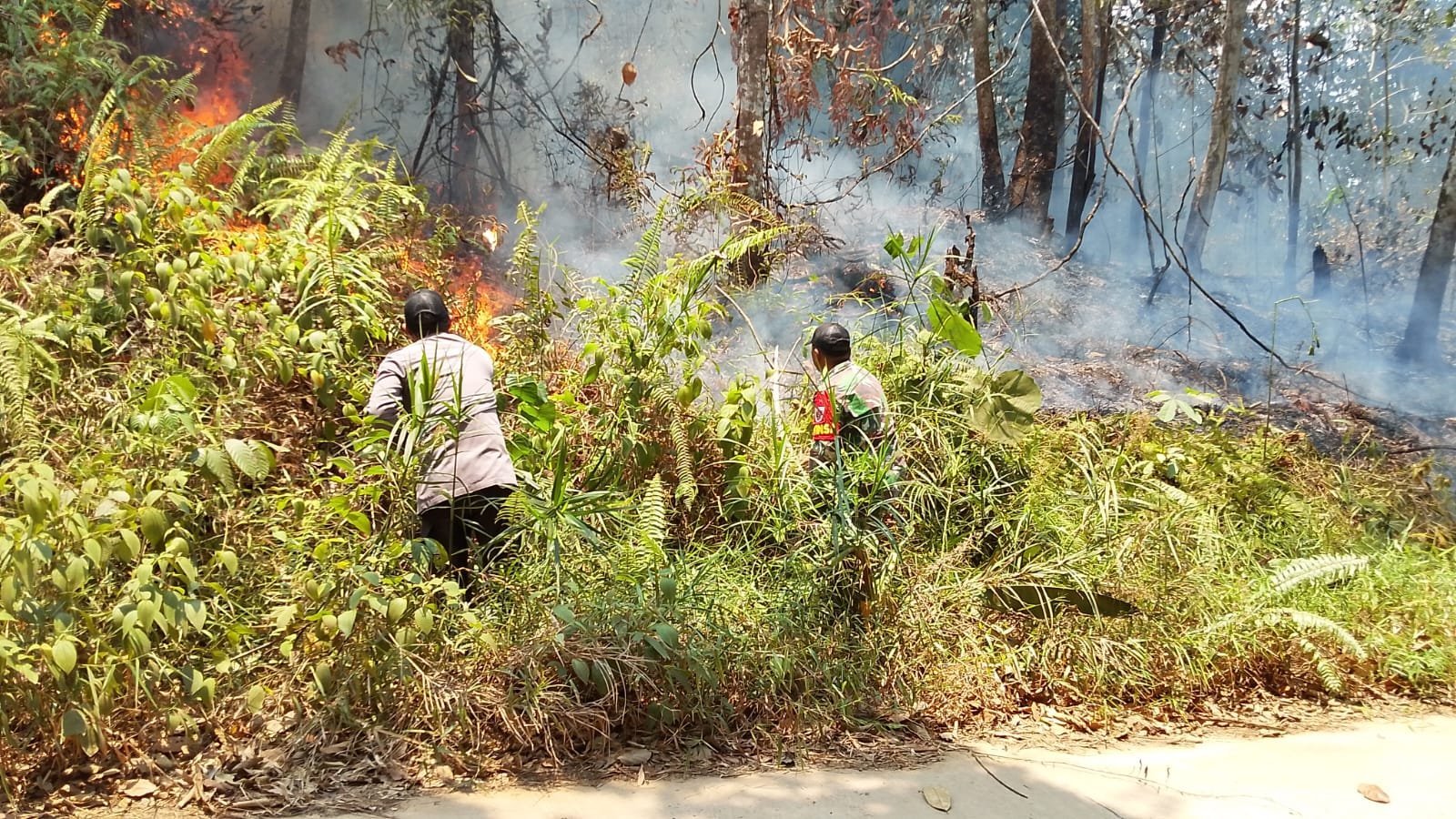 Petugas Gabungan Kendalikan Karhutla Seluas Setengah Hektare di Kutai Timur