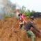 Babinsa Serda Vincensius Pimpin Pemadaman Kebakaran Lahan di Merauke