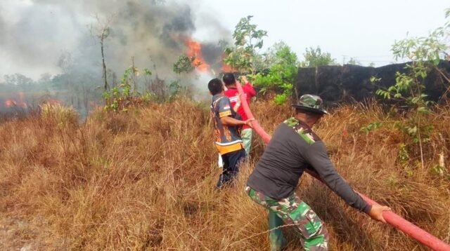 Babinsa Serda Vincensius Pimpin Pemadaman Kebakaran Lahan di Merauke