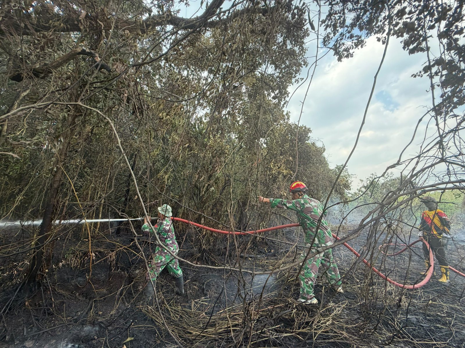 Trantang Tapin Utara Dilalap Api, 1,5 Hektare Lahan Terbakar