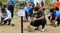 HUT ke-81 TNI: 1.000 Mangrove Ditanam di Pantai Payum Merauke