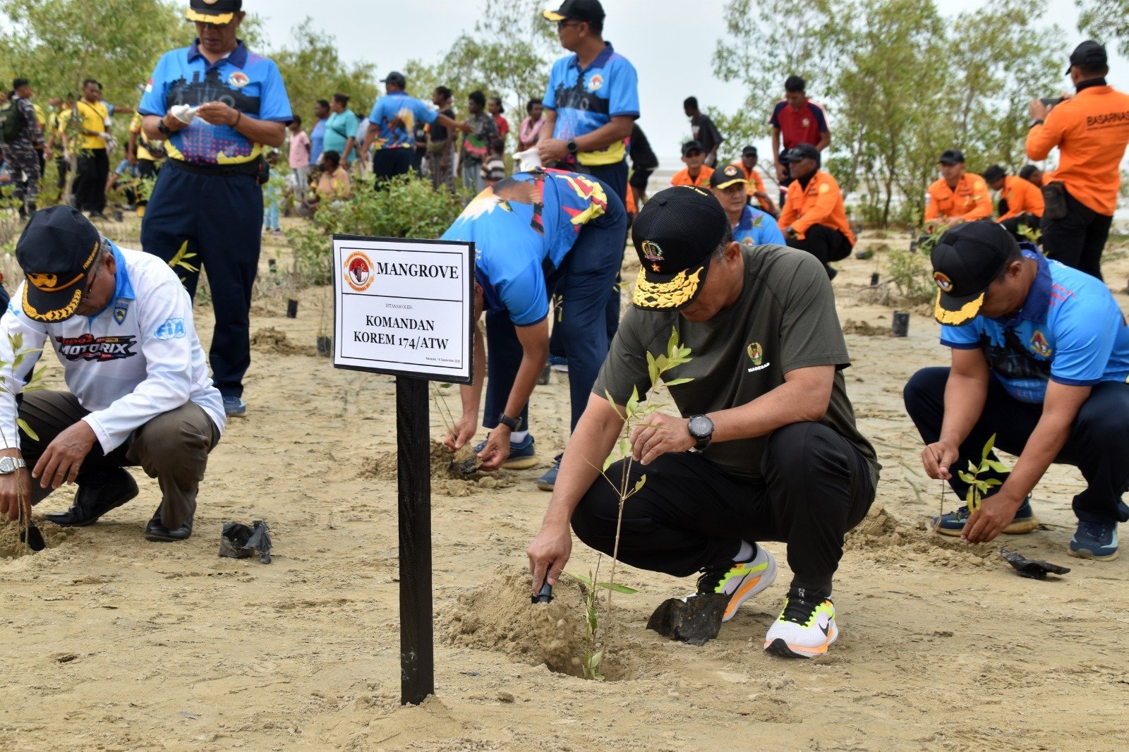 HUT ke-81 TNI: 1.000 Mangrove Ditanam di Pantai Payum Merauke