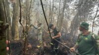 Terantang Terbakar Lagi: 2,5 Hektare Terkena, TNI Bantu Pemadaman Terantang Terbakar Lagi: 2,5 Hektare Terkena, TNI Bantu Pemadaman