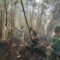 Terantang Terbakar Lagi: 2,5 Hektare Terkena, TNI Bantu Pemadaman