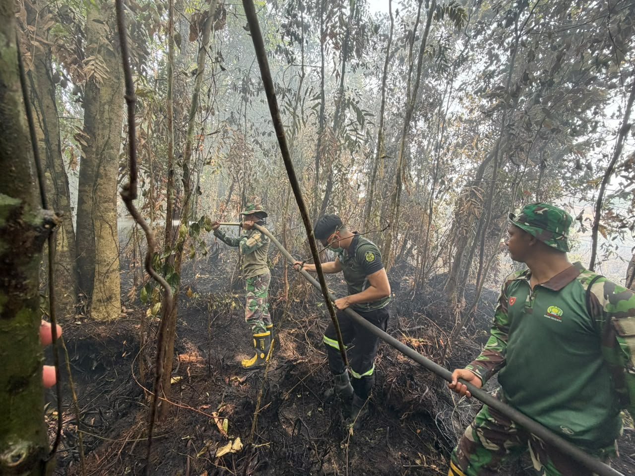 Terantang Terbakar Lagi: 2,5 Hektare Terkena, TNI Bantu Pemadaman
