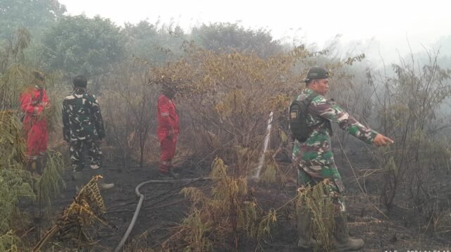 Bersimbah Asap, Koramil Batumandi Kerahkan Personel Padamkan Karhutla di Perbatasan