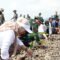 Aksi Hijau Kodim 1004/Kotabaru: Tanam Mangrove Jelang HUT TNI ke-81