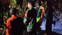 Lahan Seluas Sekitar 3 Hektare Terbakar, Pemadaman di Pantai Baru Berhasil