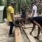 Personel Kodim 0109/Aceh Singkil dan Warga Potong Material untuk Lantai Jembatan
