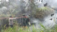 Karhutla di Sangatta Selatan: 2,5 Hektare Lahan Terbakar, Ditangani Tim Gabungan Karhutla di Sangatta Selatan: 2,5 Hektare Lahan Terbakar, Ditangani Tim Gabungan