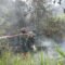 Karhutla di Sangatta Selatan: 2,5 Hektare Lahan Terbakar, Ditangani Tim Gabungan