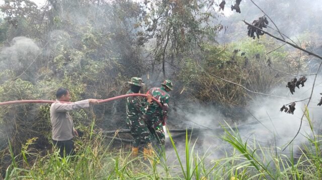 Karhutla di Sangatta Selatan: 2,5 Hektare Lahan Terbakar, Ditangani Tim Gabungan