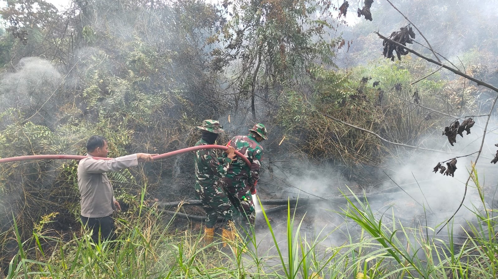 Karhutla di Sangatta Selatan: 2,5 Hektare Lahan Terbakar, Ditangani Tim Gabungan