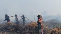 Padamkan Karhutla di BPUTK Pinang Raya, Petugas Gencarkan Imbauan Larangan Pembakaran