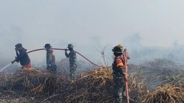 Padamkan Karhutla di BPUTK Pinang Raya, Petugas Gencarkan Imbauan Larangan Pembakaran