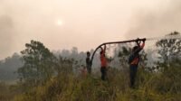 Karhutla di Batu Piring Padam Setelah Droping Air dari Mobil Tangki Karhutla di Batu Piring Padam Setelah Droping Air dari Mobil Tangki