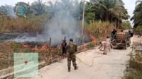 Setengah Hektare Lahan Tebu Rantau Pulung Terbakar, Padam Dua Jam Kemudian