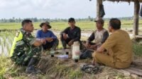 Komunikasi Sosial Babinsa di Meunasah Dayah Fokus Jaga Kamtibmas dan Lingkungan Sawah Komunikasi Sosial Babinsa di Meunasah Dayah Fokus Jaga Kamtibmas dan Lingkungan Sawah