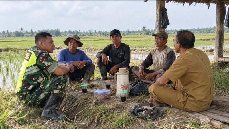 Komunikasi Sosial Babinsa di Meunasah Dayah Fokus Jaga Kamtibmas dan Lingkungan Sawah