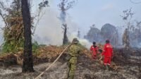 Sekitar 5 Hektare Lahan Belukar dan Semi Gambut di Kolek Terbakar