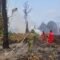 Sekitar 5 Hektare Lahan Belukar dan Semi Gambut di Kolek Terbakar