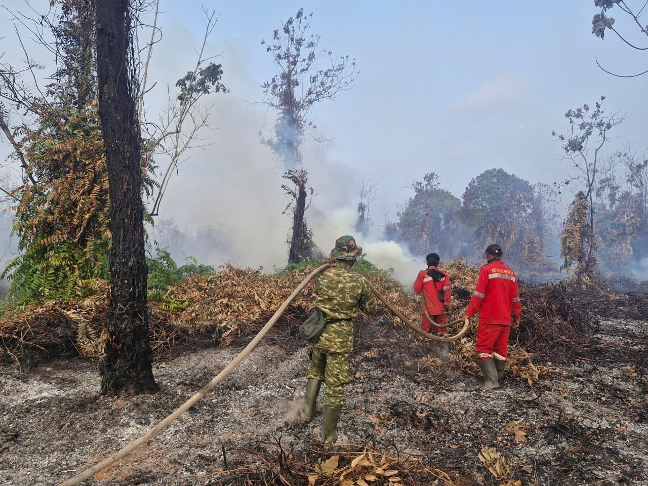 Sekitar 5 Hektare Lahan Belukar dan Semi Gambut di Kolek Terbakar