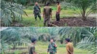 Warga Babussalam Ditegur Babinsa: Hindari Pembakaran Lahan Saat Membersihkan Warga Babussalam Ditegur Babinsa: Hindari Pembakaran Lahan Saat Membersihkan