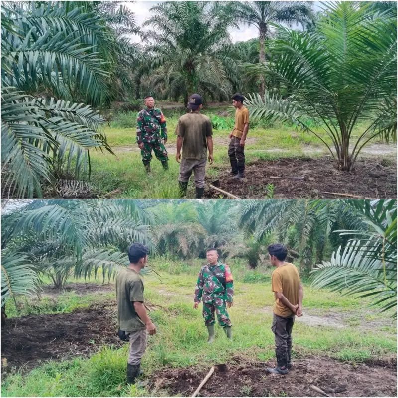Warga Babussalam Ditegur Babinsa: Hindari Pembakaran Lahan Saat Membersihkan
