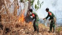 Padamkan Sebelum Meluas, Babinsa Kimaam Tangani Kebakaran Lahan di Kampung Kiworo