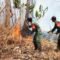 Padamkan Sebelum Meluas, Babinsa Kimaam Tangani Kebakaran Lahan di Kampung Kiworo