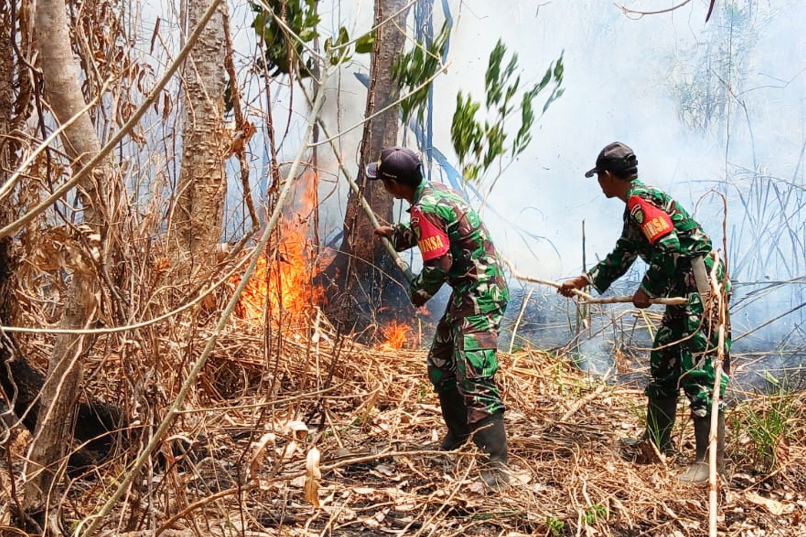 Padamkan Sebelum Meluas, Babinsa Kimaam Tangani Kebakaran Lahan di Kampung Kiworo
