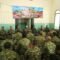 Personel Kodim 1010/Tapin Gelar Doa Bersama Sambut HUT TNI ke-81